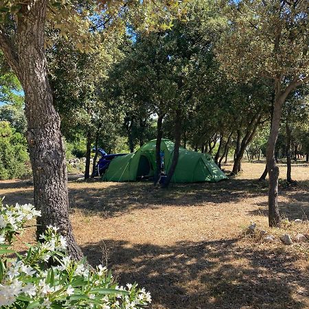 Hotel Camping Sugar Mandre Zewnętrze zdjęcie