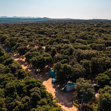 Hotel Camping Sugar Mandre Zewnętrze zdjęcie